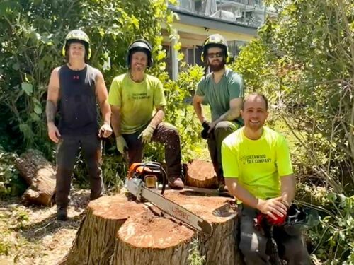 Greenwood Tree Company team