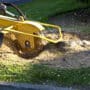 Tree Stump Grinding